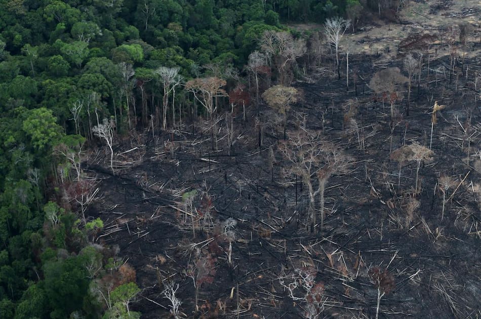 Amazonia ecuatoriana. Foto: Reuters