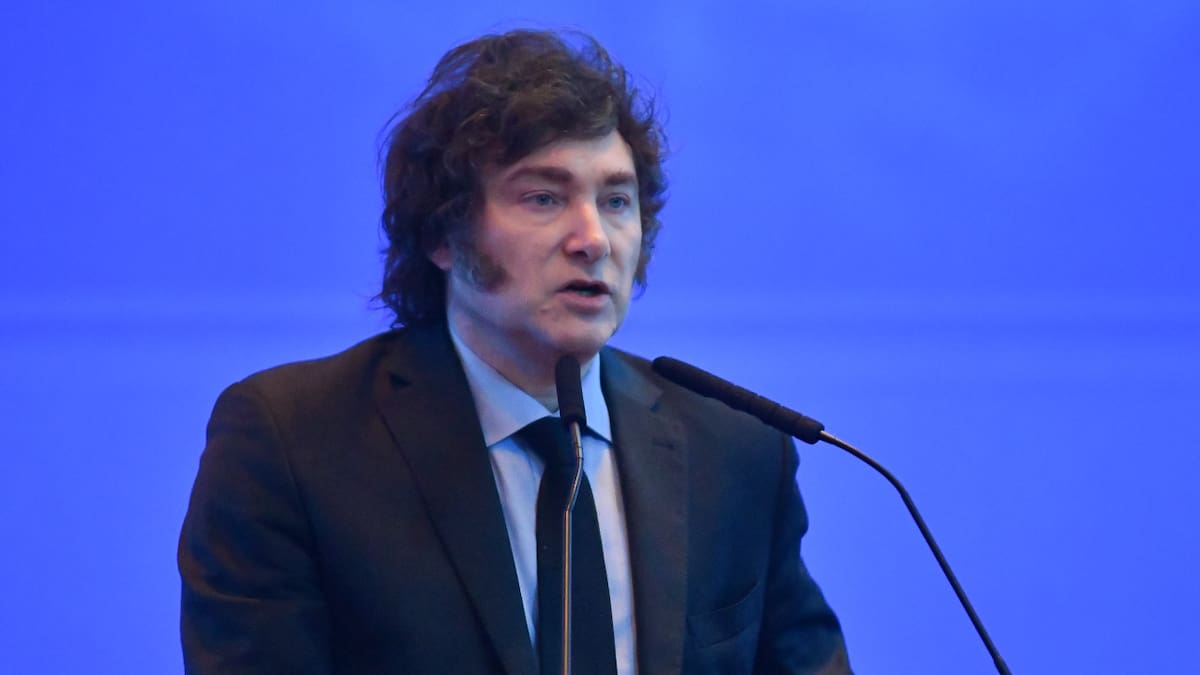 Javier Milei en el IEFA Latam Forum. Foto: NA.