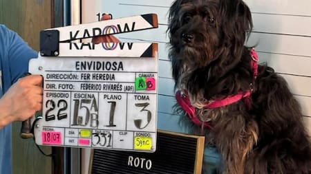 Quién es Uma, la perrita que trabaja como Roto en "Envidiosa". Foto: Instagram/ohmydogmag