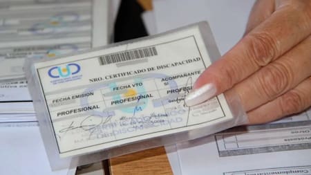 Cómo acceder al Certificado Único de Discapacidad en 2026