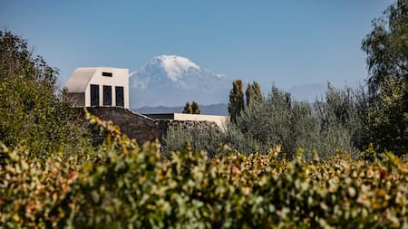 Dos hoteles argentinos fueron elegidos entre los mejores de Sudamérica: dónde quedan y qué los hace únicos