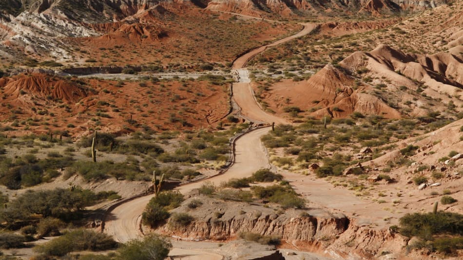 Parque Nacional Los Cardones. Foto: Argentina.gob.ar.