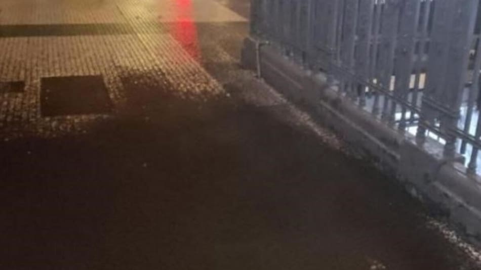 Plaga de mosquitos en el subte. Foto: redes sociales