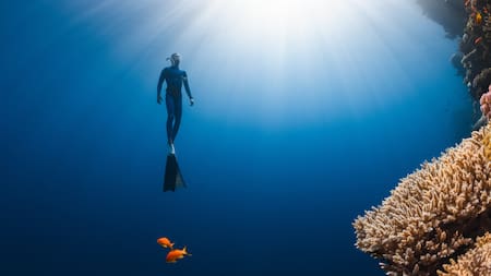 Buceador en el océano. Foto: Unsplash