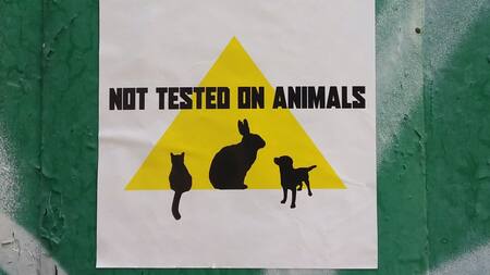 Canadá prohíbe el uso de animales para probar productos cosméticos. Foto: Unsplash.