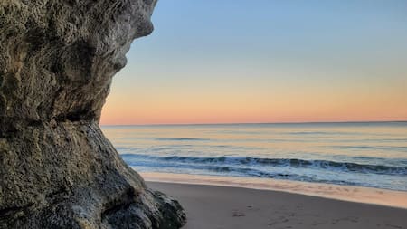 En los últimos días, la ola de calor favoreció la aparición de aguas vivas en Las Grutas. Foto Wikipedia