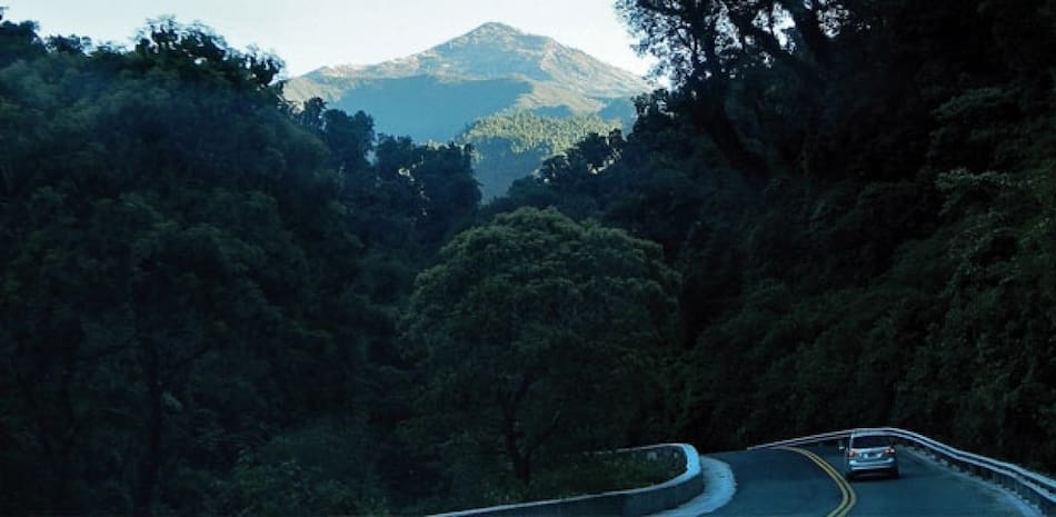 Reserva Provincial Los Sosa. Fuente: Fundación Pro Yungas.