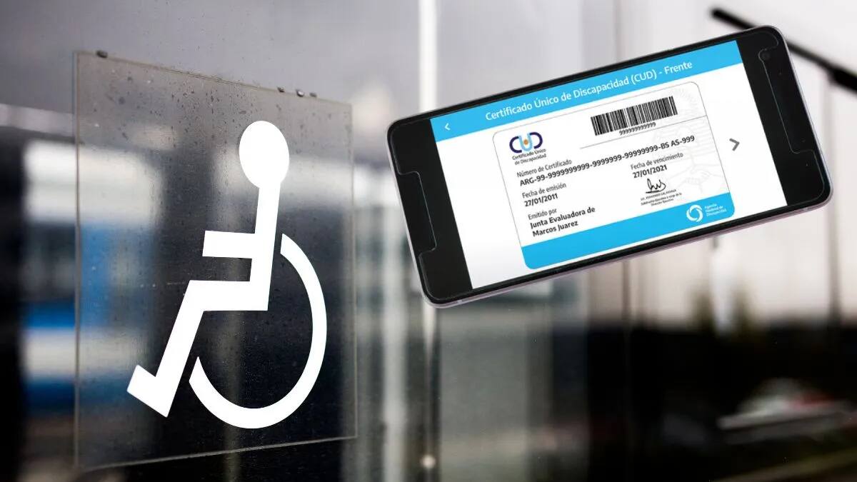 ¿Quienes pueden pedir el Certificado Único de Discapacidad?