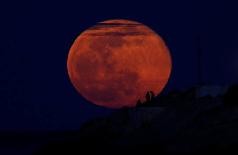 Luna de Nieve, Reuters