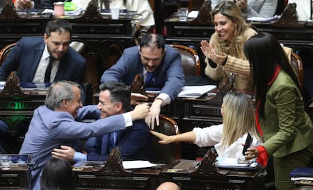 Festejos en La Libertad Avanza en el Congreso. Foto: NA.