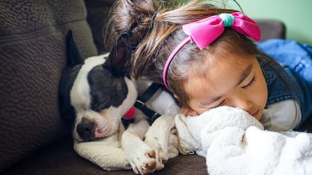 Todos los beneficios de dormir con tu mascota. Foto Unsplash.