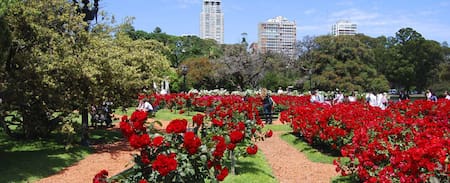 El Rosedal de Palermo. Foto Gobierno de la Ciudad