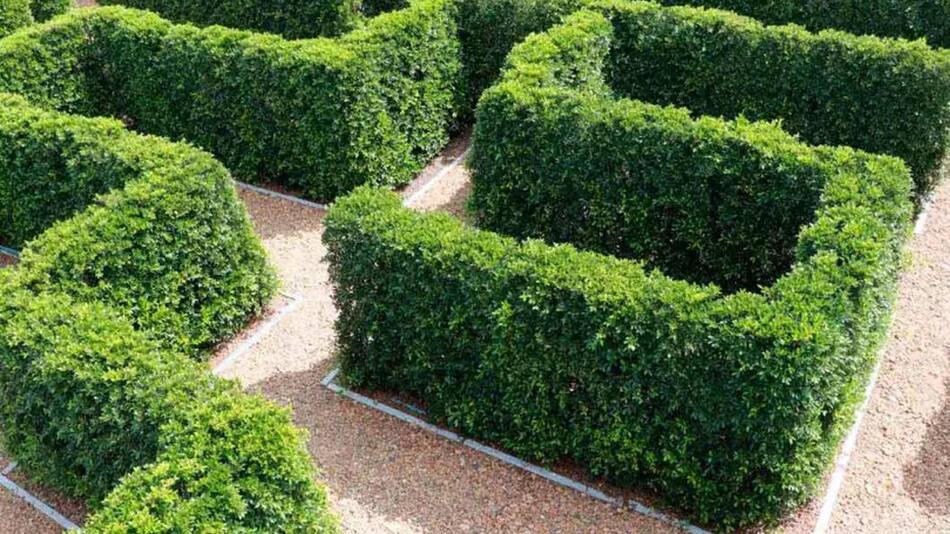 Laberinto, foto Shutterstock