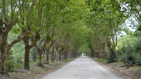 Escapada rural cerca de Buenos Aires: el pueblo ideal para desconectarse del ruido urbano