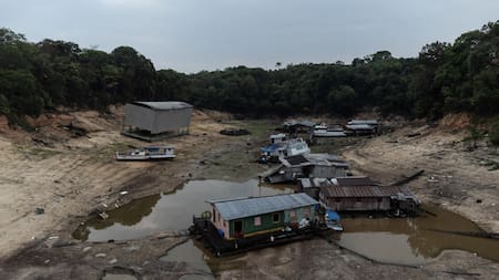 La superficie de agua en la principal zona de la Amazonía brasileña cae al menor nivel en 5 años. EFE