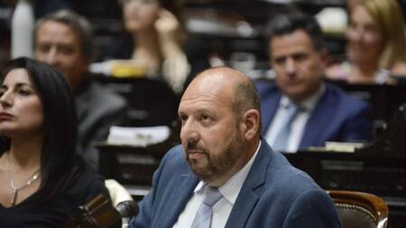 Carlos D'Alessandro, diputado nacional.