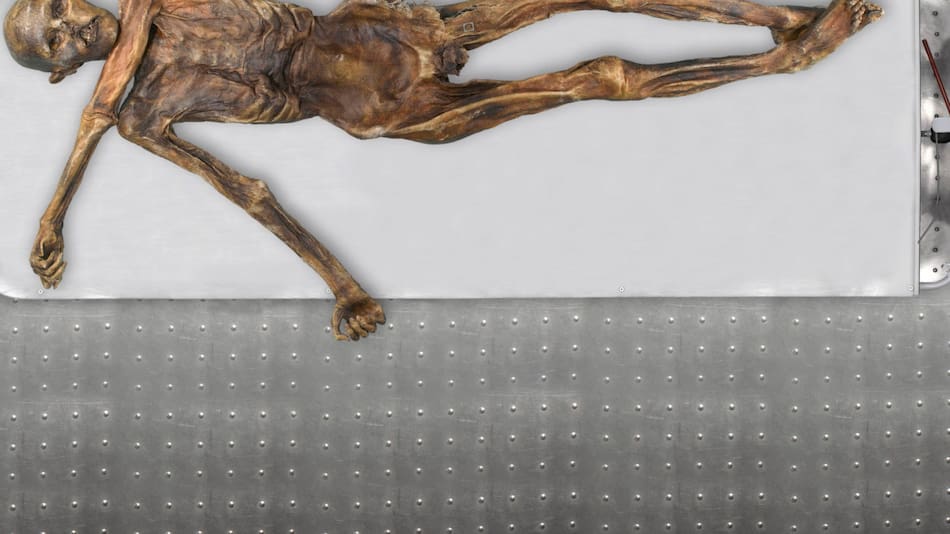 Cadáver momificado de Ötzi, el Hombre de Hielo de los Alpes. Foto: EFE.