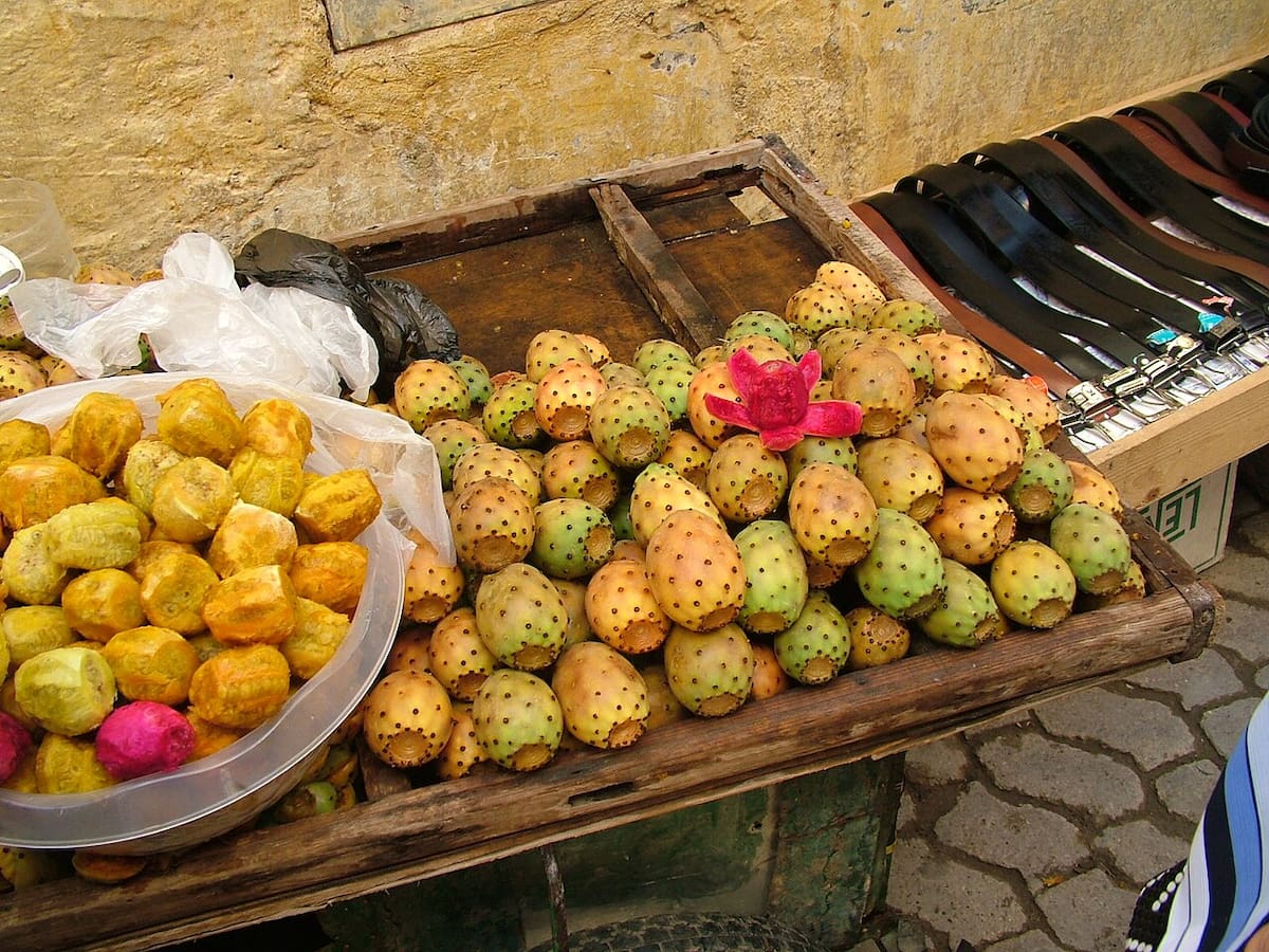 Frutos cactus nopal