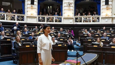 Mayra Mendoza juró como diputada provincial