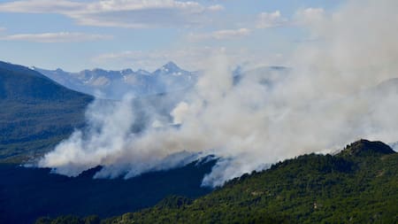 Incendio en el Parque Nacional Los Alerces. Foto: Télam.
