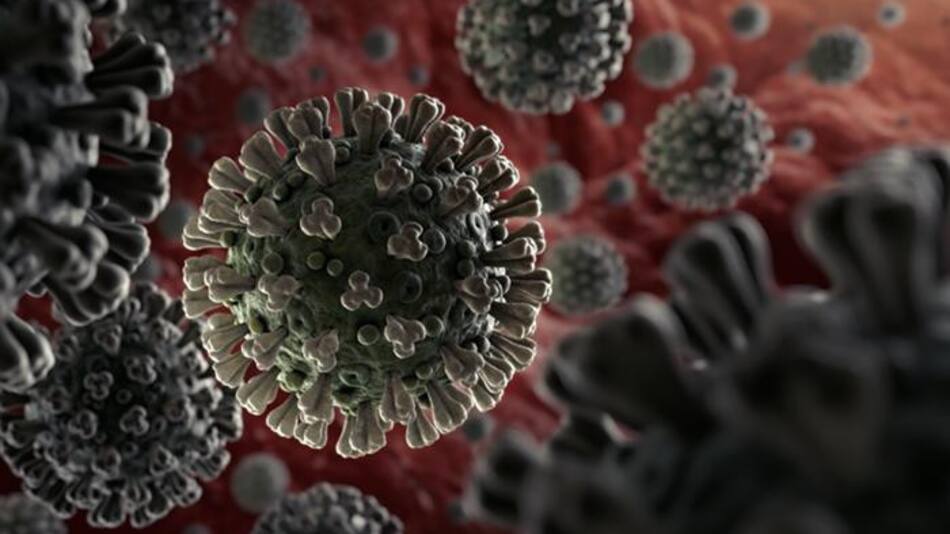 Coronavirus en el mundo, pandemia
