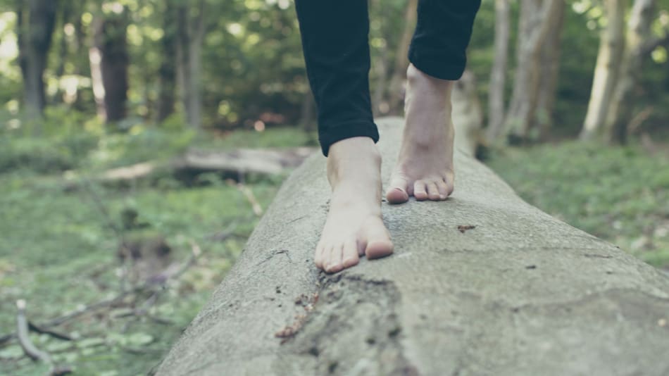 Pies. Foto: Unsplash