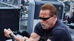 Equilibrio y determinación: cuáles son las claves para mantenerse físicamente saludable, según Arnold Schwarzenegger