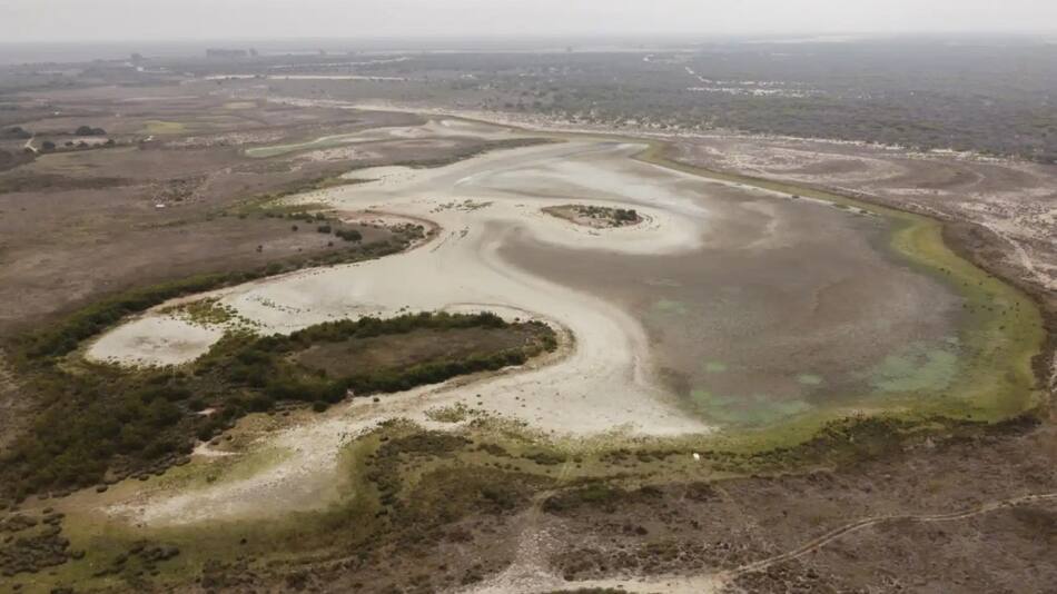 La laguna de Santa Olalla, en el parque natural de Doñana, España. Foto: Reuters.