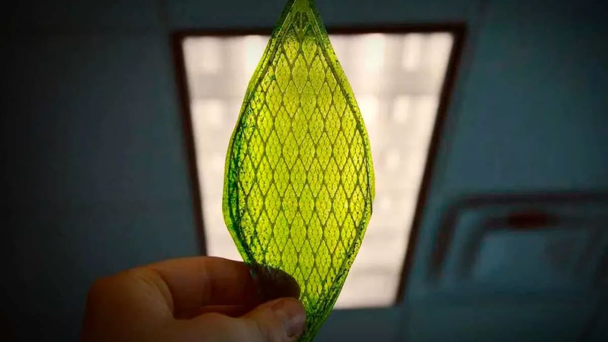 Invento único y sostenible: crean hojas artificiales capaces de convertir el CO2 en combustible limpio