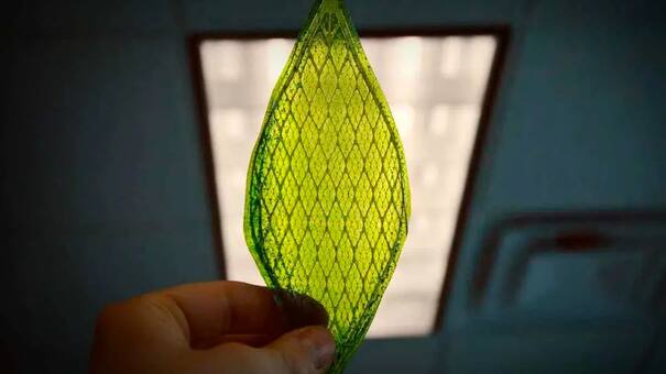 Invento único y sostenible: crean hojas artificiales capaces de convertir el CO2 en combustible limpio