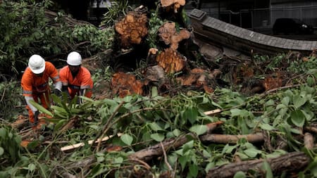 Temporal en Brasil, Reuters