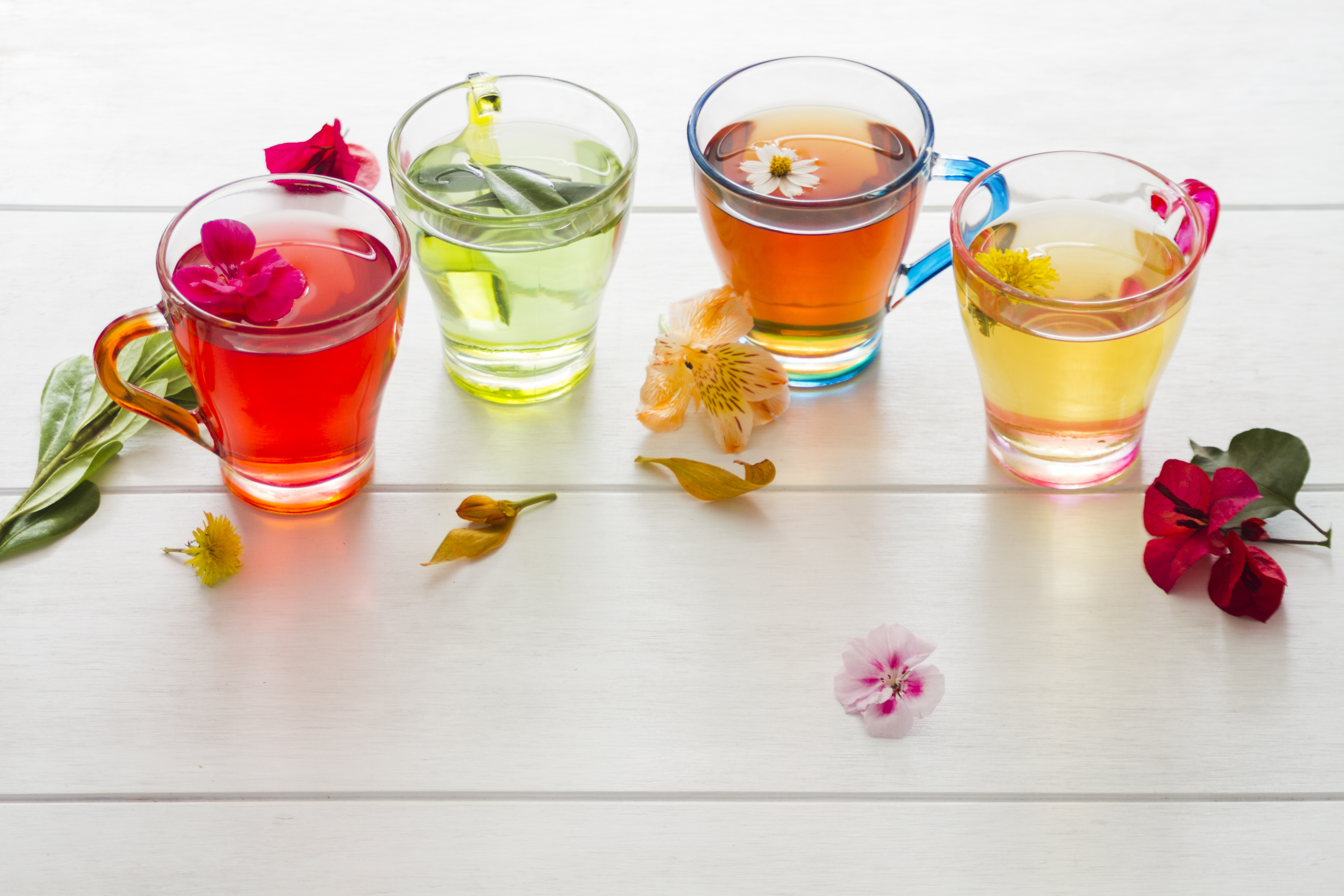 No deseches las flores marchitas: cómo transformarlas en una deliciosa y aromática infusión