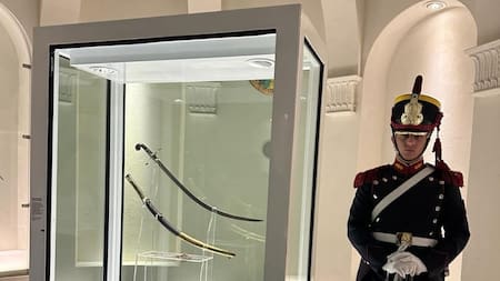 Sable corvo de San Martín. Foto: Instagram @mhnarg