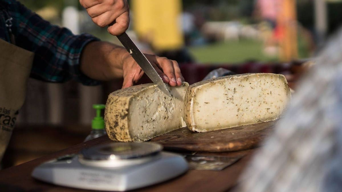 Productores locales exhiben y venden quesos artesanales durante el Festival del Queso en Los Toldos, uno de los eventos gastronómicos más importantes de la región.