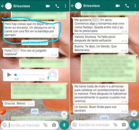 Abogada denunció por acoso a al juez de San Martín Marcelo Brissolese.