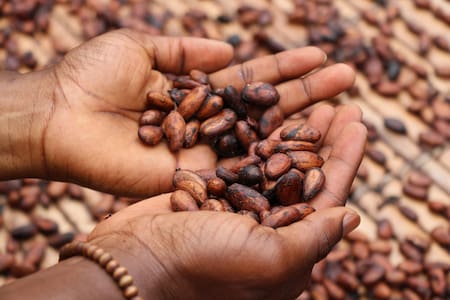 Un nuevo impulso en Madagascar, donde se produce el mejor cacao, pretende hacer más sostenible la producción de chocolate. Foto: Unsplash.