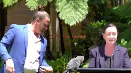 Una araña gigante interrumpió una conferencia