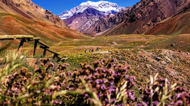 No es Buenos Aires ni Córdoba: la provincia que fue elegida entre los 10 mejores destinos del mundo para visitar en 2026