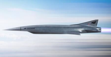 Quarterhorse. Foto: Hermeus.