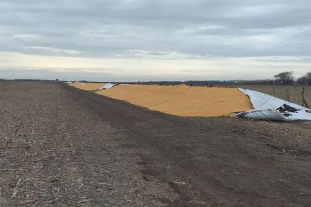 Ataque a silobolsas en campo de Chacabuco