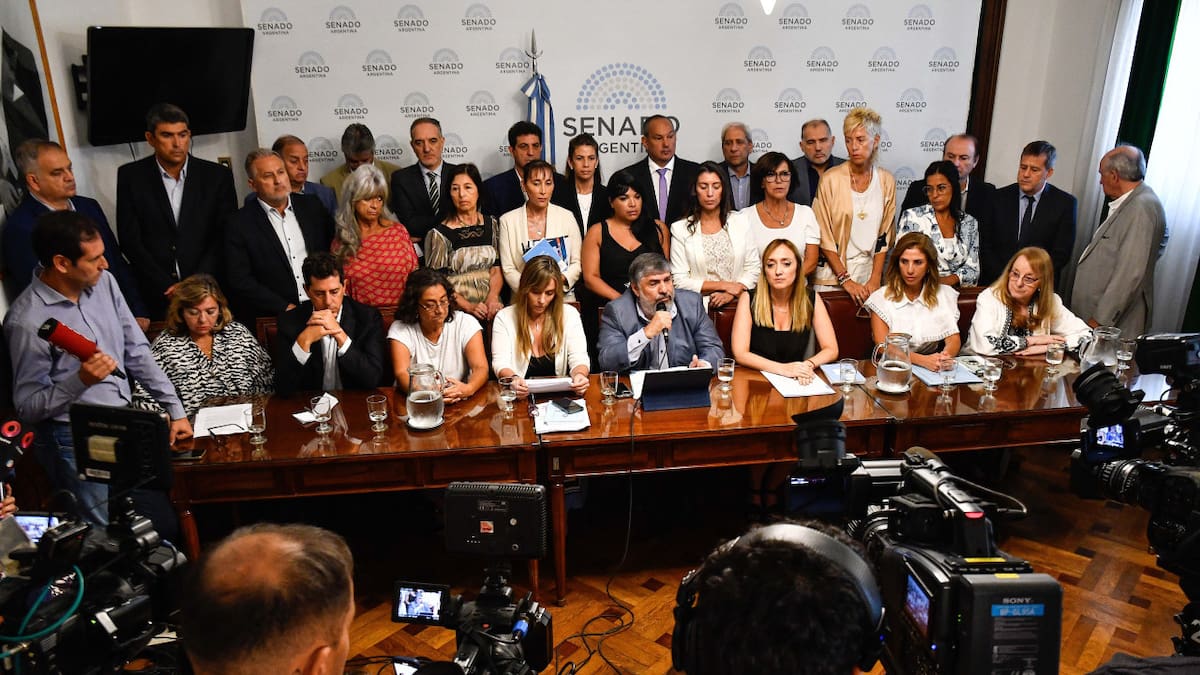 Peligra la sanción del Presupuesto 2026 por los Senadores de Unión por La Patria.