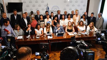 La oposición se sube al ring por el financiamiento de la ciencia y educación: qué puede pasar con el Presupuesto 2026