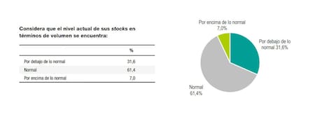 Datos de la encuesta realizada por el Indec. Foto: Indec.