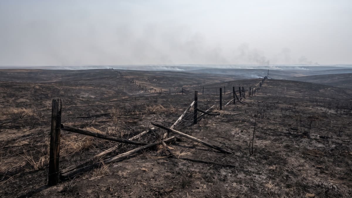 Campo incendiado en Dakota.
