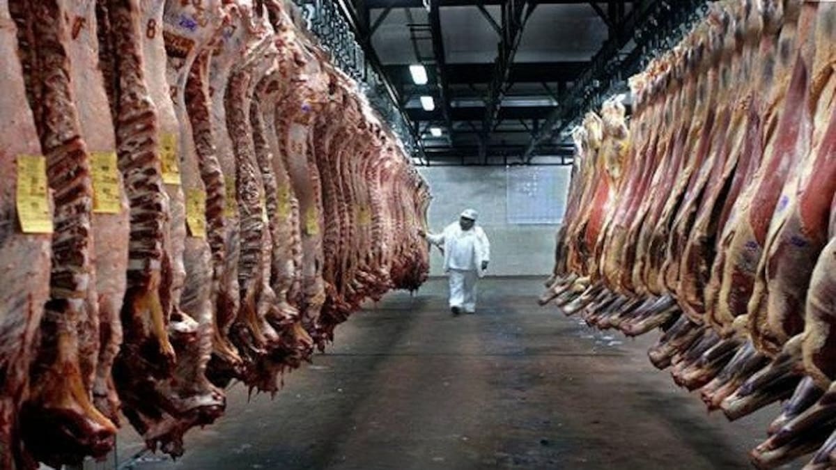 Argentina pasó del puesto 15 al cuarto lugar mundial entre los exportadores de sebo bovino.