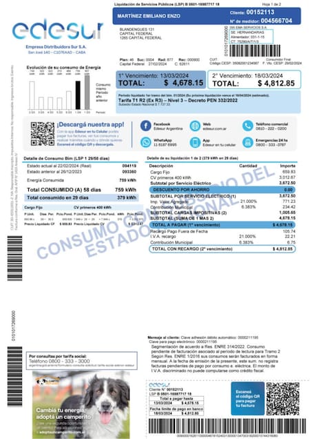Factura de Edesur con imágenes de perros para adoptar. Fuente: Edesur