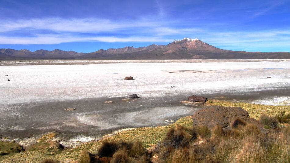 Salar de Surire, Chile. Foto: Wikipedia
