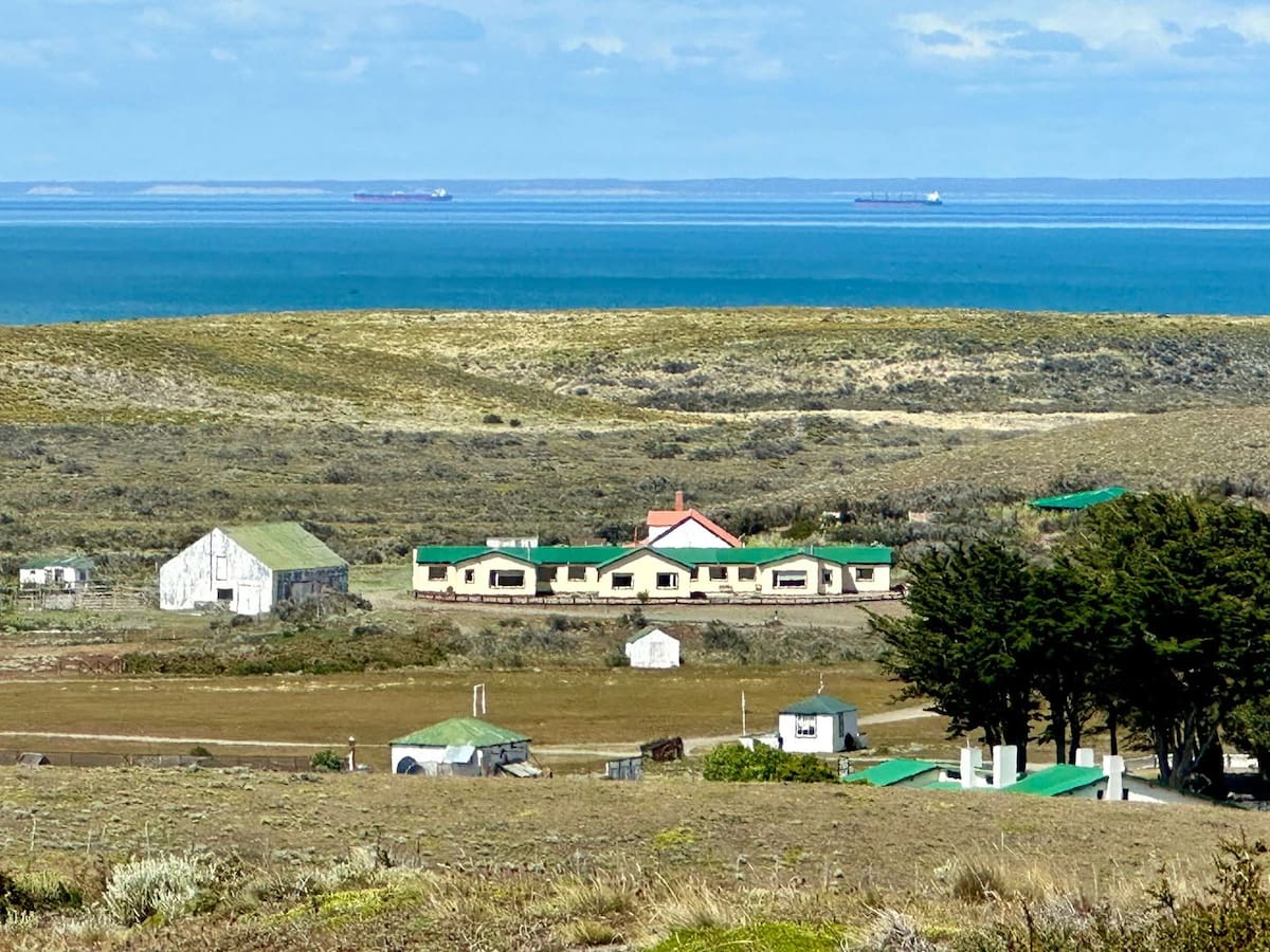 Monte Dinero