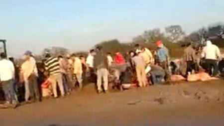 Volcó camión con vacas y los vecinos las faenaron, foto captura de video