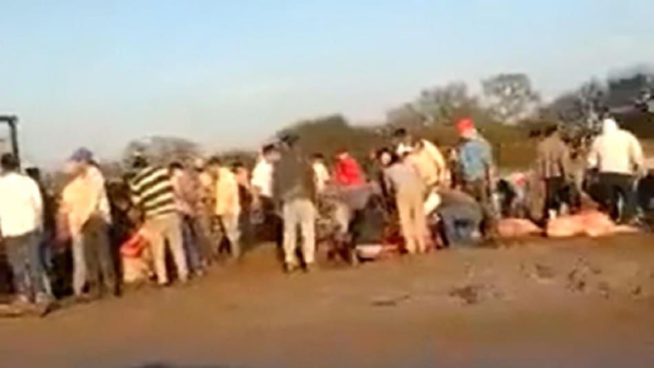 Volcó camión con vacas y los vecinos las faenaron, foto captura de video